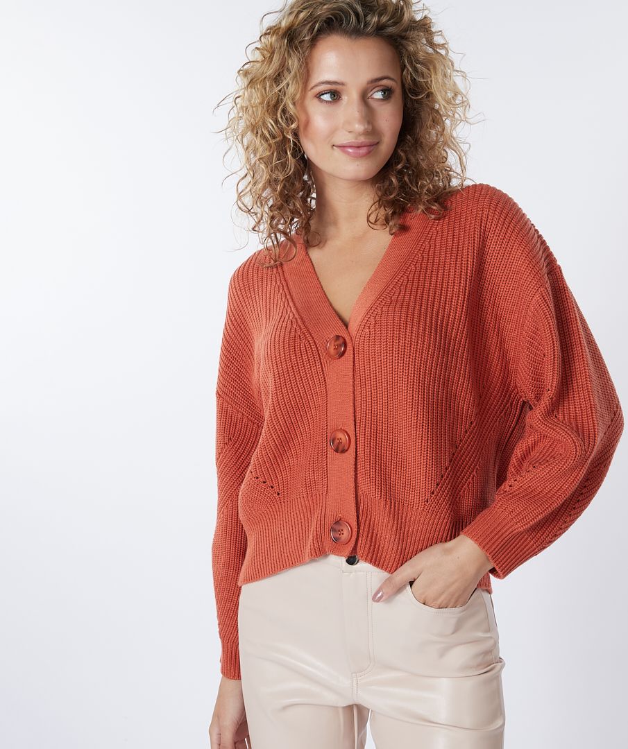 Cardigan V-neck