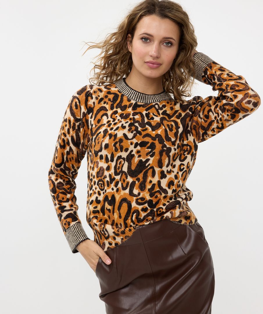 Sweater Animal Land
