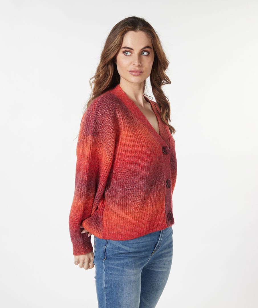 Cardigan multicolor best sale